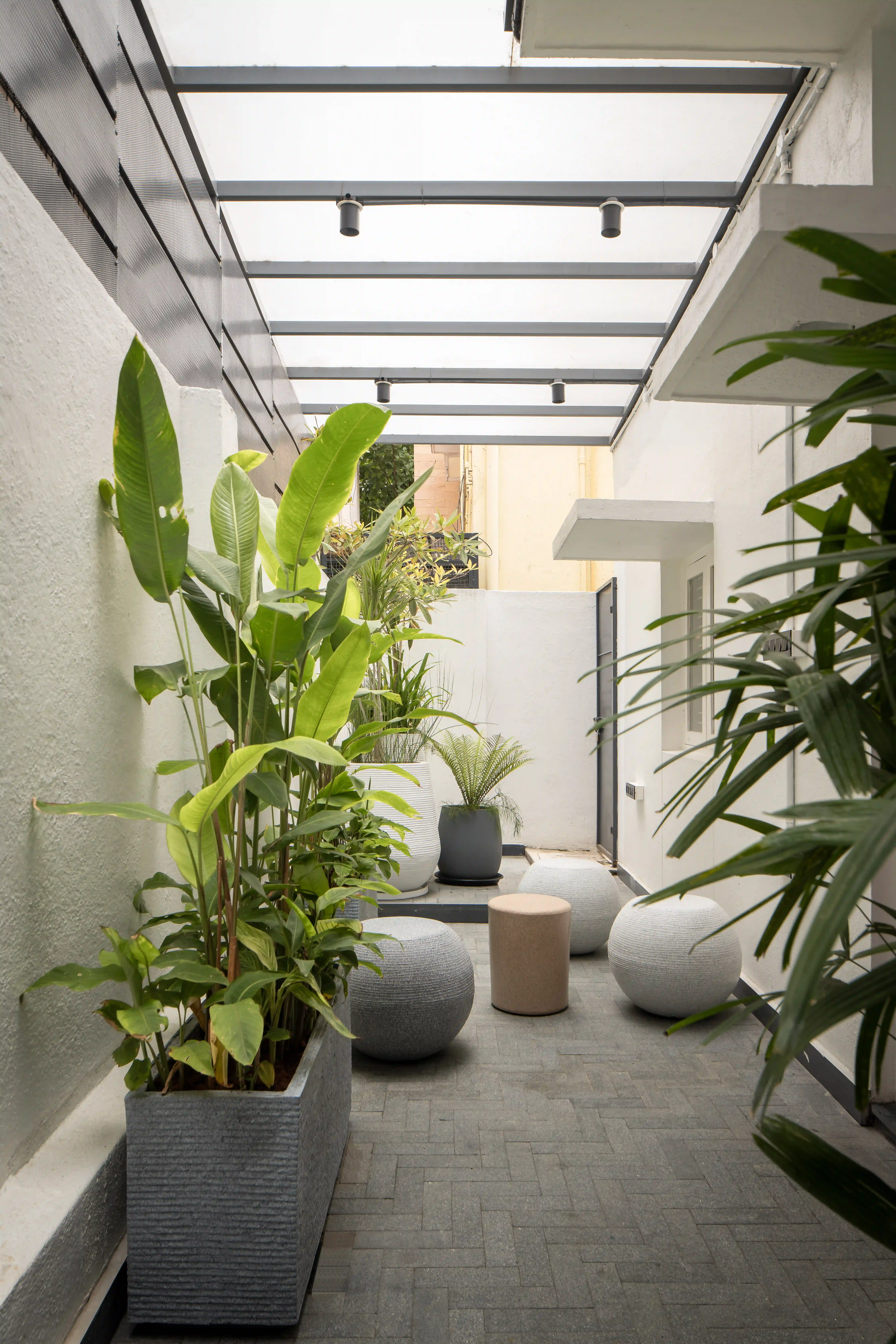 Baygrape Office Interiors