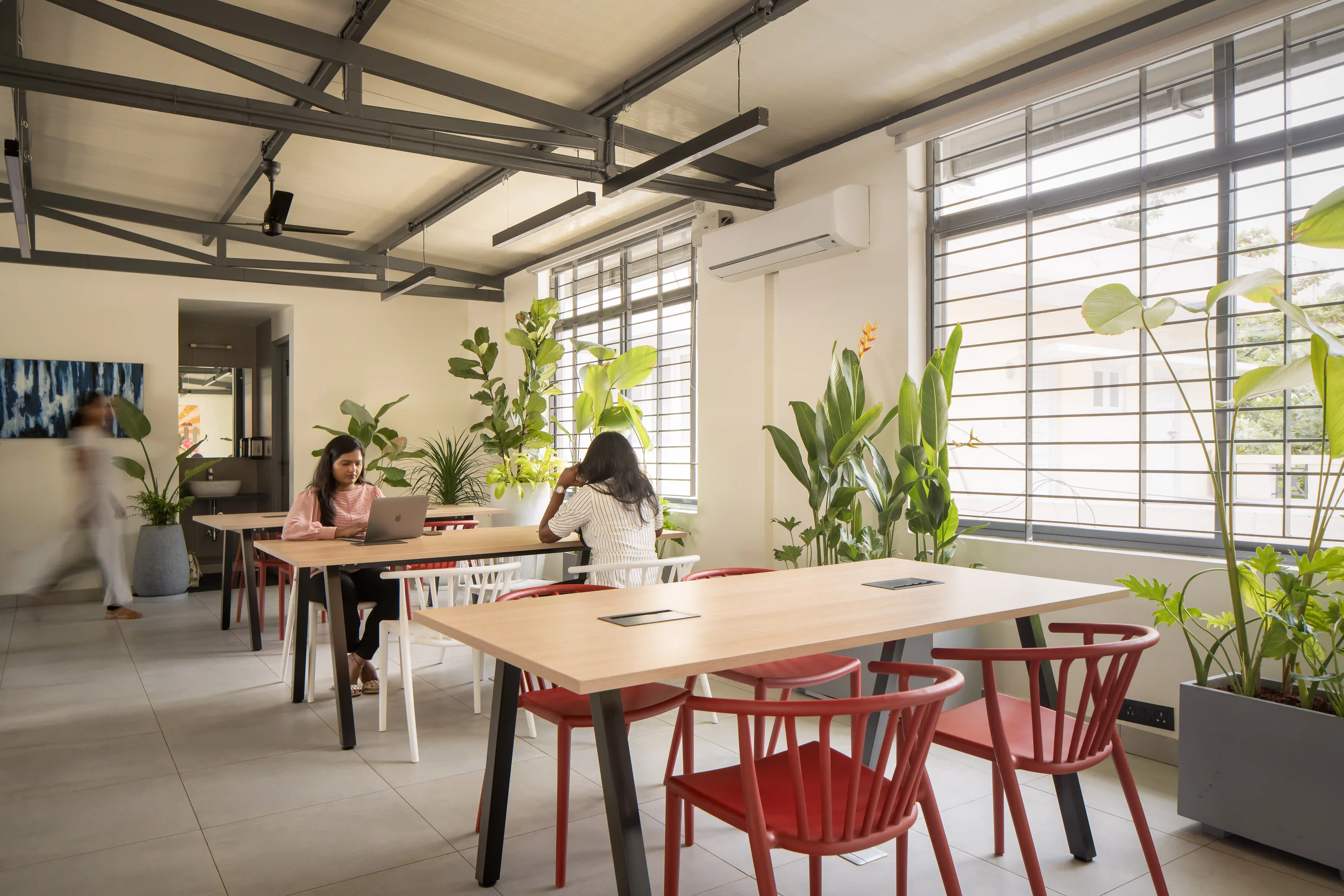 Baygrape Office Interiors